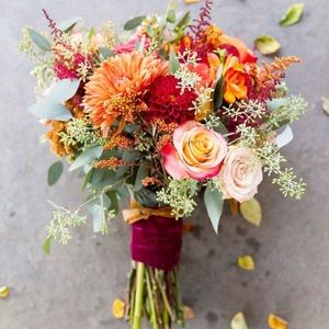 Meet your Posher, Elisa